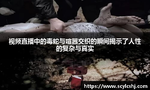 视频直播中的毒蛇与喧嚣交织的瞬间揭示了人性的复杂与真实