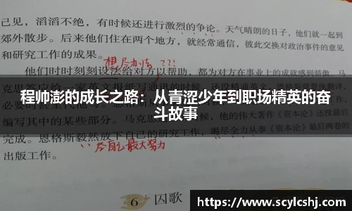 3377平台