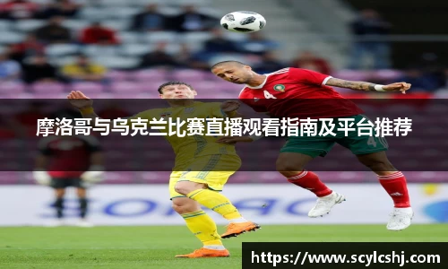 3377官网
