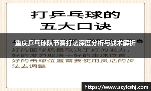 3377官网
